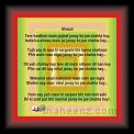 Ghazal missbanoose 02 * 22.03.2008 * 487 x 404 * (41KB)